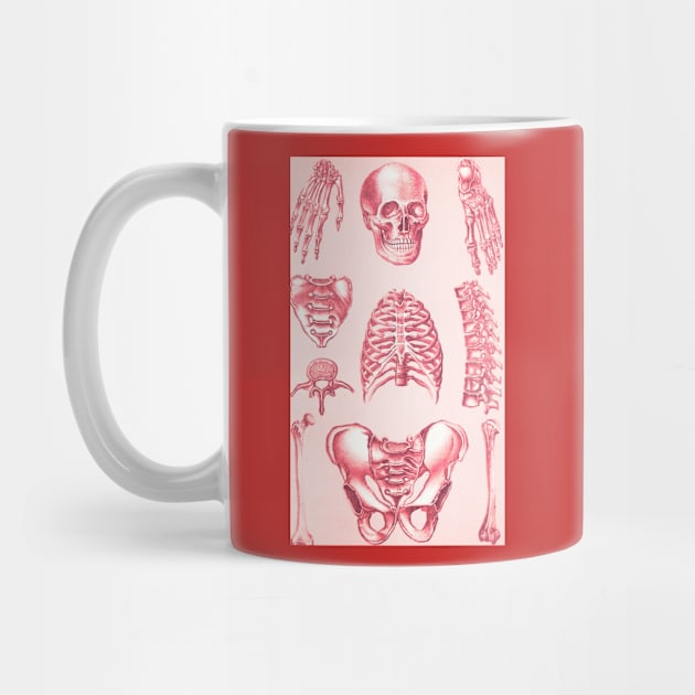 Poor Man's X-Ray Red Skeleton by Star Scrunch
